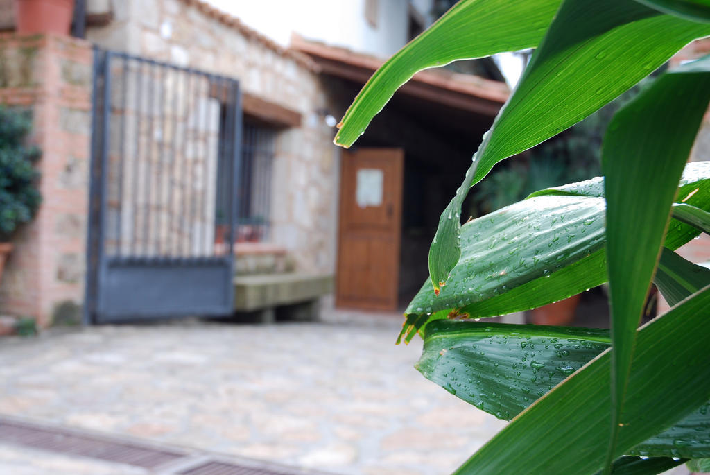 מדריגל דה לה וורה Hostal El Cardenillo מראה חיצוני תמונה